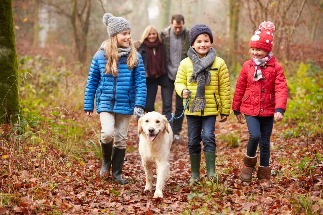 Macdonald Woodland Lodges At Macdonald Aviemore Resort Luaran gambar
